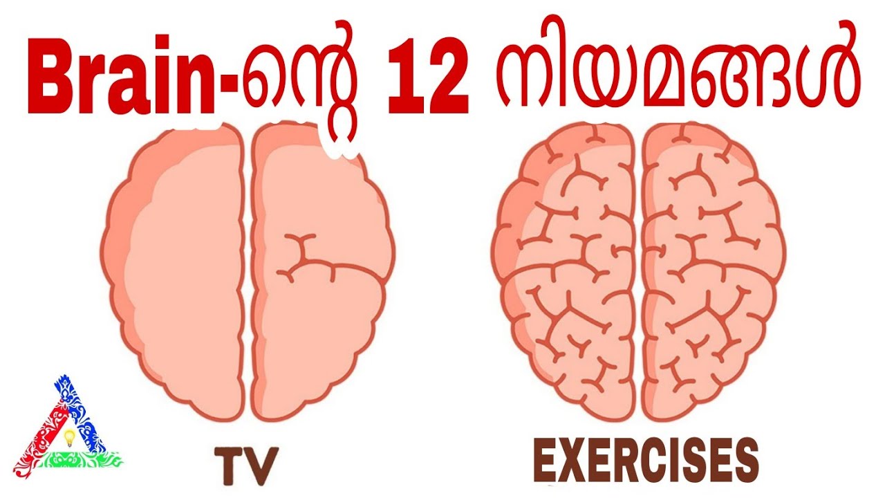 12 BRAIN RULES that will CHANGE YOUR LIFE നിങ്ങളുടെ ജീവിതം മാറ്റുന്ന 12 ബ്രെയിൻ നിയമങ്ങൾ JOHN MEDINA