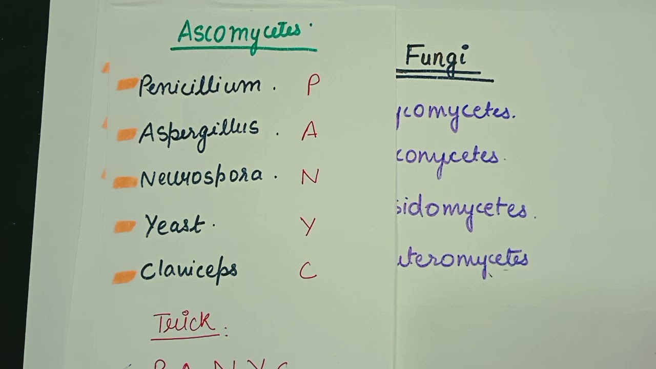 Tricks to learn all examples of fungi ||Biology neet tricks|| #shorts