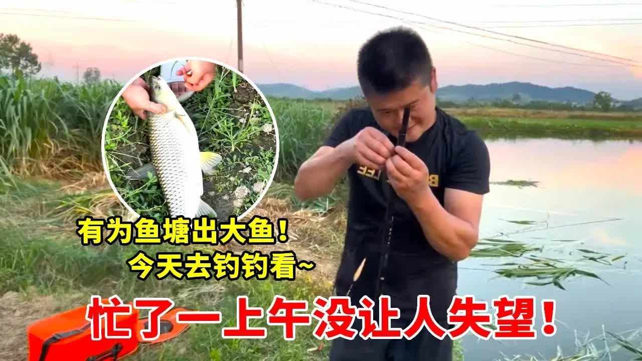 有为鱼塘养了大半年，今天钓两条鱼看看有多大，果真没让大家失望【高手在路上】
