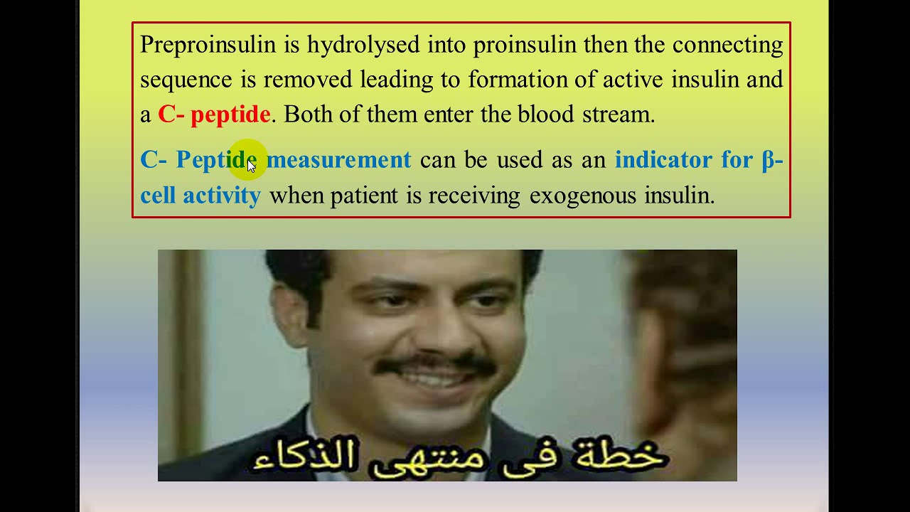 Endocrine Pancreas By : Dr / Mohamed Ashraf