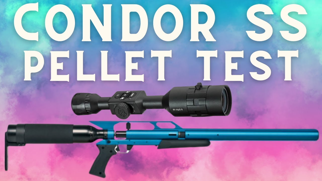 AirForce Condor SS - MY BOY BLUE! - Pellet Testing Part 1