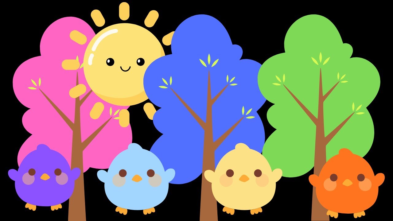 Baby Sensory peekaboo Colors High Contrast and Visual Stimulation calming music #tinytotsensory