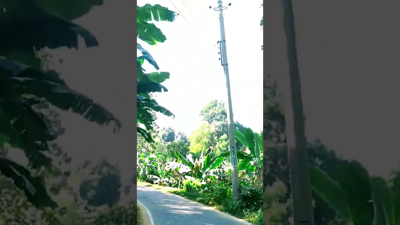 Discover Lalmai Hill Tracts: A Scenic Travel Destination in Cumilla You Must Visit | #spokenenglish