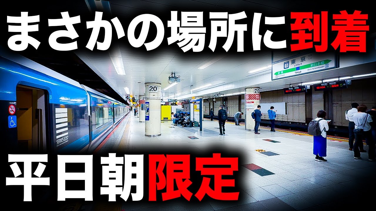 【東海道線特急が総武線へ！？】1日2本限定の特殊すぎるルートを走る特急を乗り通してみた