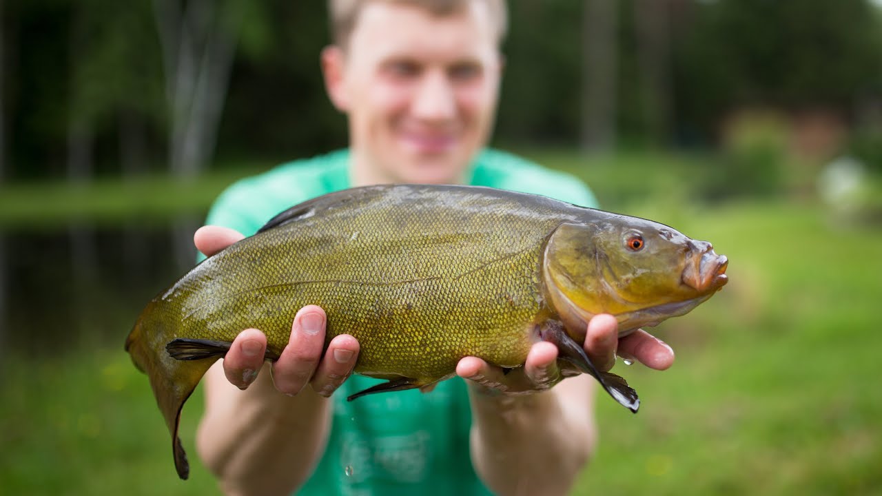 Mokausi pagauti LYNĄ 2021