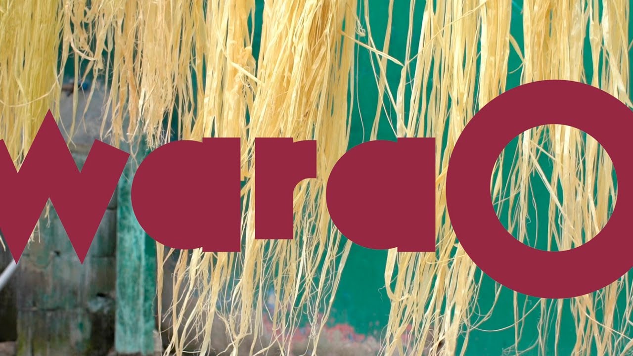 Projeto Warao (2019-2023) | Museu A CASA