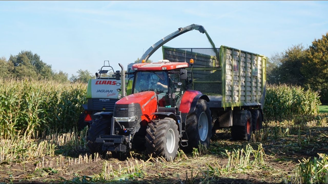 Mais oogst 2018 met Claas Jaguar 870. Loonb.Krans  De Wilp.