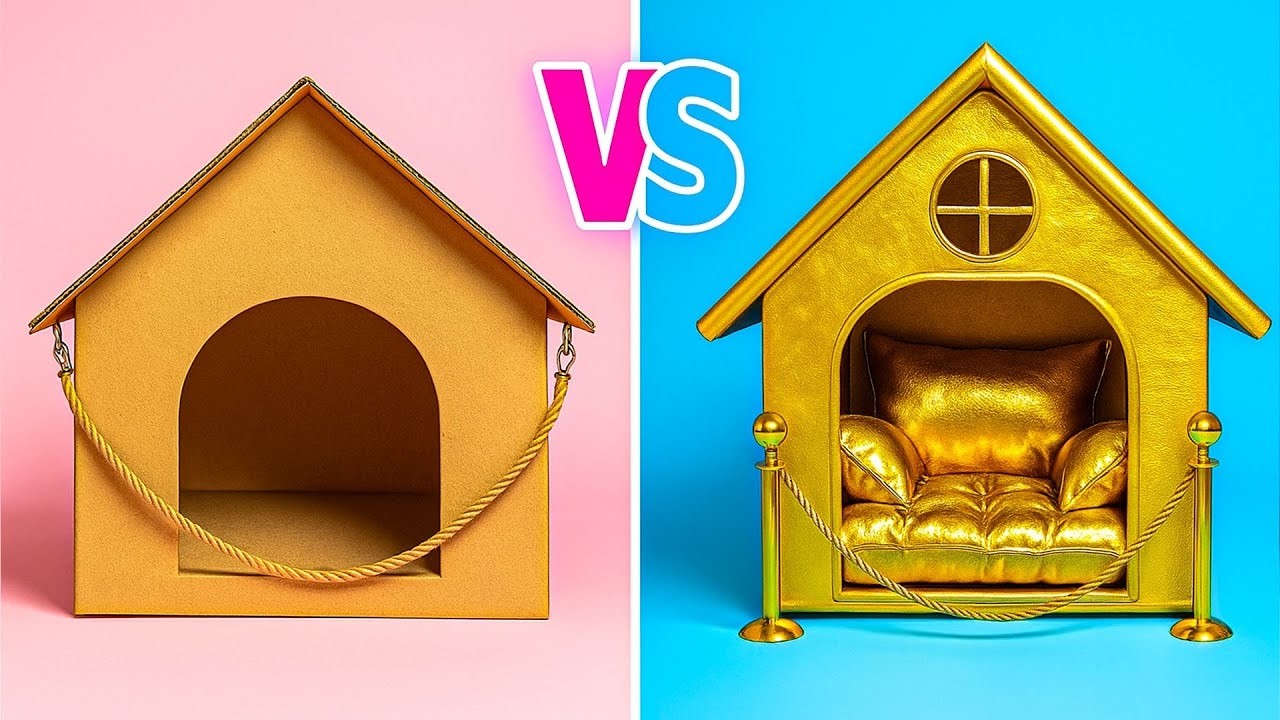 Реакция моей кошки на секретный домик! 🐾🏡