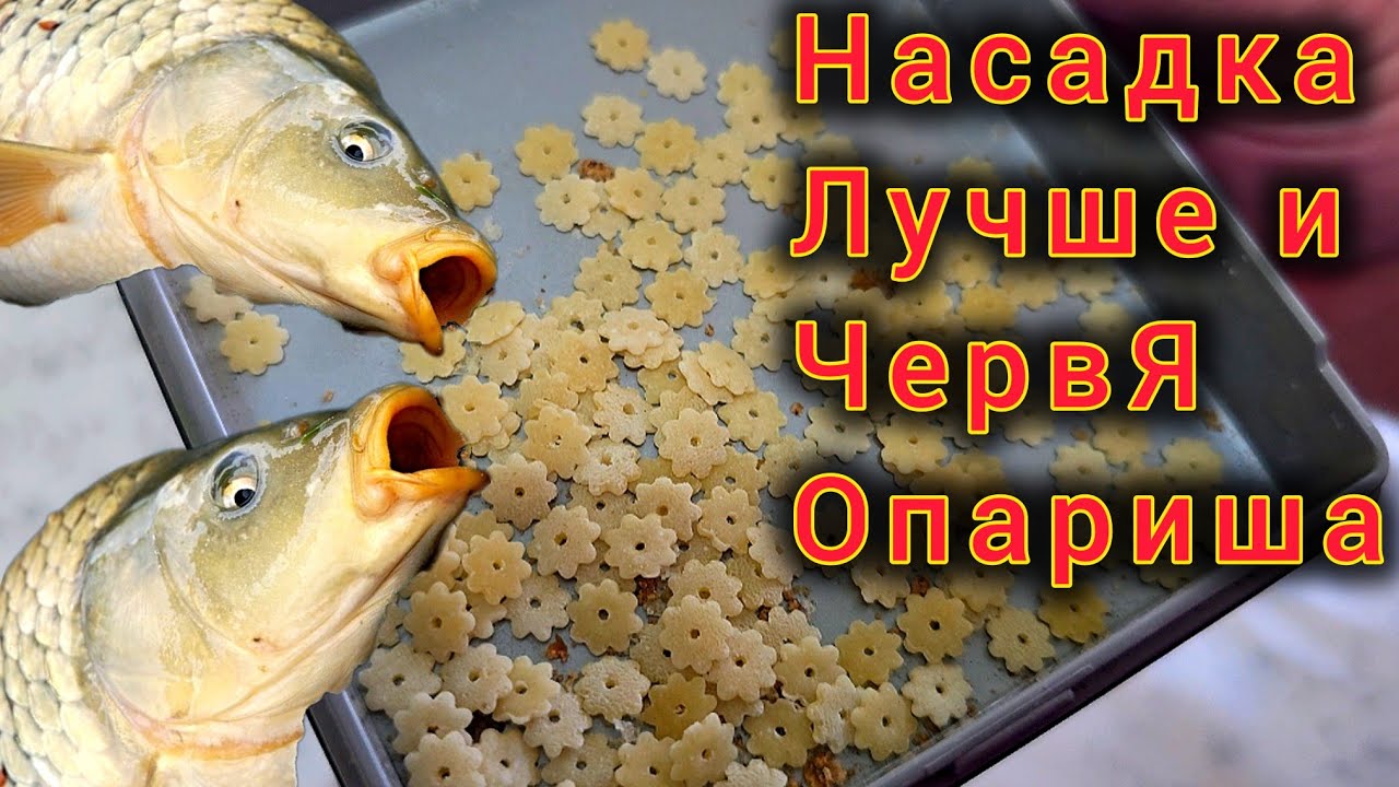 Эта Насадка лучше червя и опарыша! МАКАРОНЫ  ДЛЯ КАРАСЯ,ЛЕЩА,ПЛОТВЫ И КАРПА!