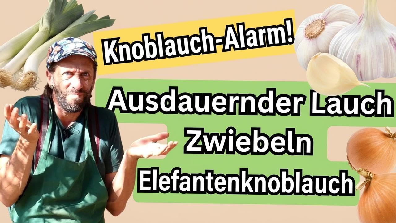 So erkennst du ganz easy ewigen Lauch, Zwiebeln und Elefantenknoblauch!