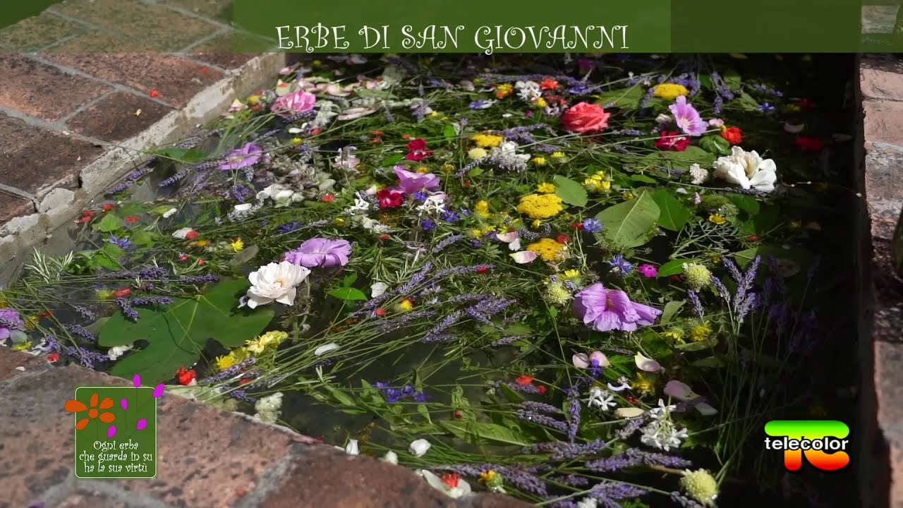Ogni erba che guarda in su ha la sua virtù: erbe di San Giovanni 03.10.2022