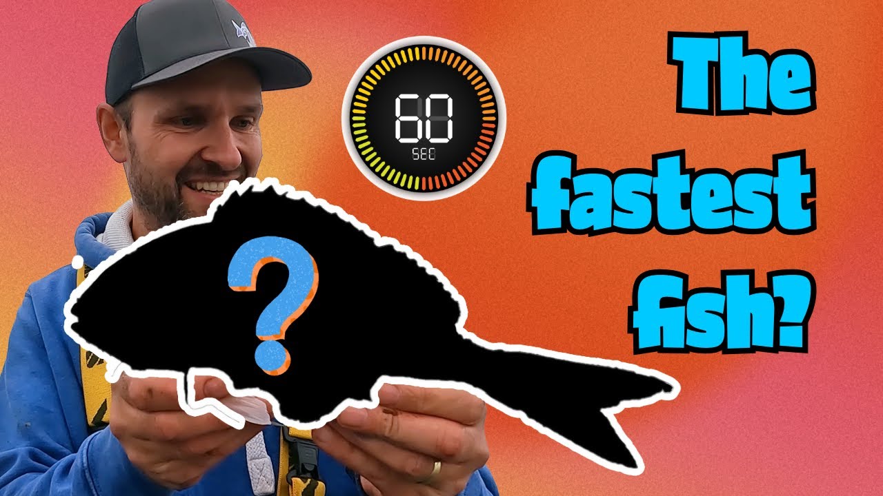Is this the fastest fish I've caught?