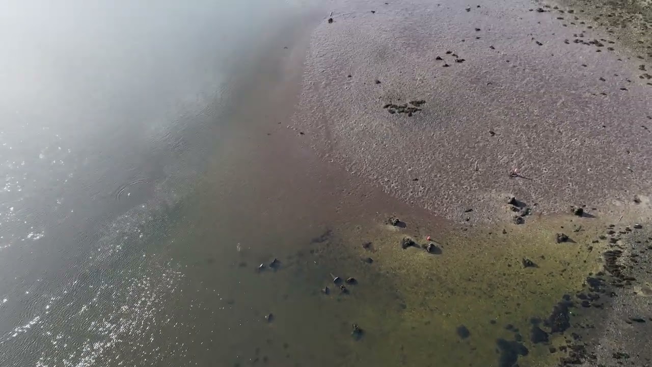 DJI NEO 2 - Hampshire day out 