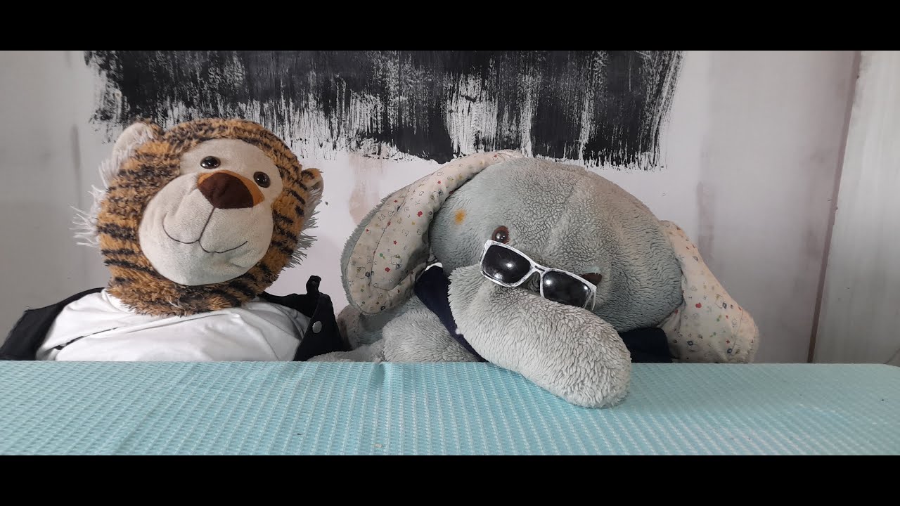 Notipeluche #1 Noticias pequeñas de peluches grandes