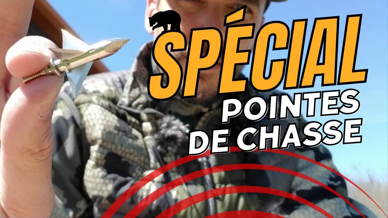 À la recherche de la pointe de chasse parfaite!! SPÉCIAL OURS À L'ARC