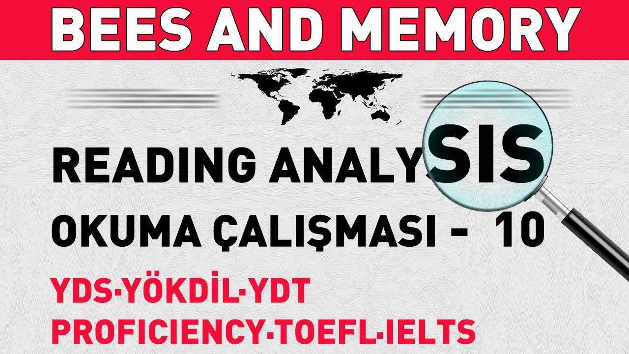 YDS, YÖKDİL, YDT, … - Reading / Okuma Çalışması 10 - BEES AND MEMORY