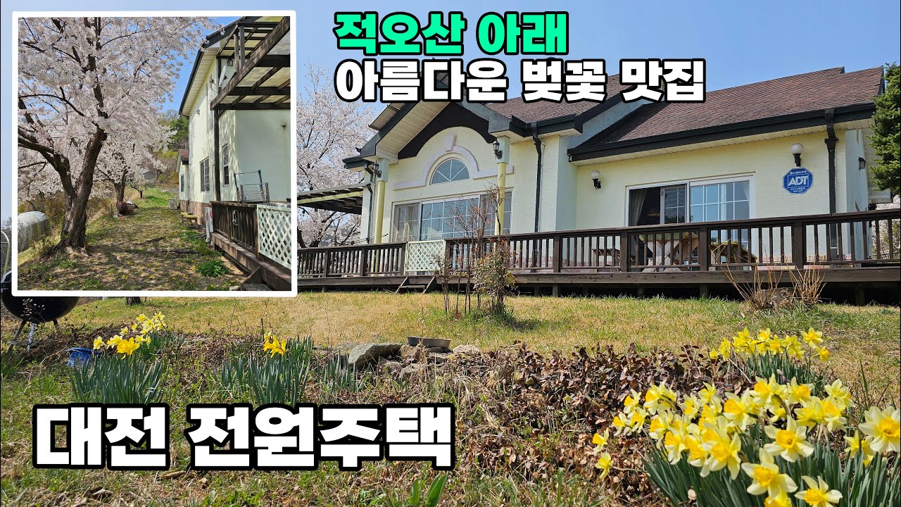 대전 전원주택 매매 도심 속 완벽한 전원생활 적지, 우수한 자연환경과 아름다운 벚꽃을 만끽할 수 있는 특별한 매물 토지 653평 건물 58평 – 대전부동산
