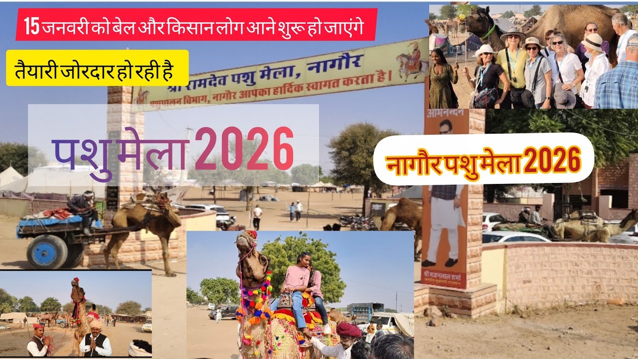 नागौर मेला 2026 शुरू होने वाला 2026 Nagaur pashu mela 2026 || नागौर बाबा रामदेव पशु मेला 2026 #mela