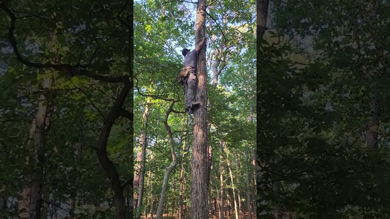 MobileSnyper Full Climb to 18ft with full platform ready to hunt