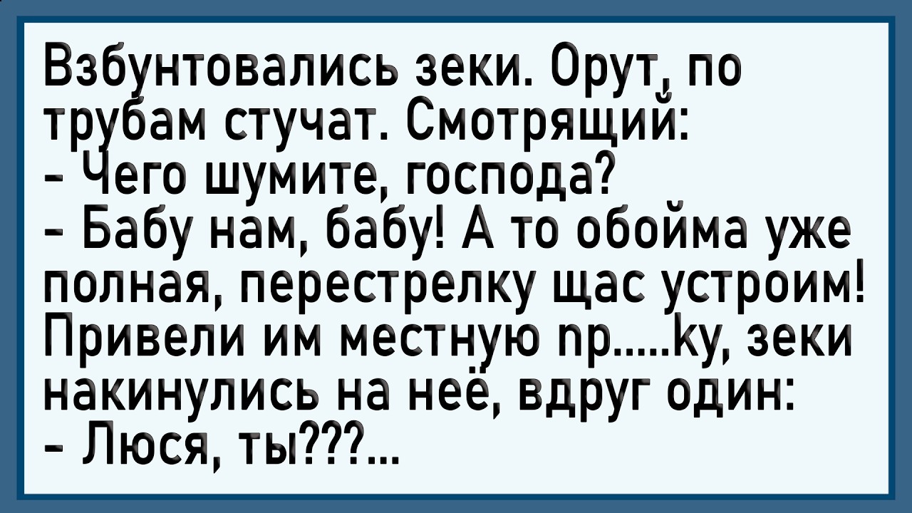 Как зекам бабу заказали! Сборник свежих анекдотов! Юмор!