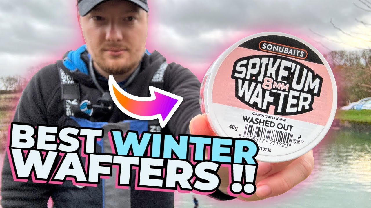Testing The Sonubaits Spike'Um Wafters Washed Out - The Ultimate Winter Wafter !!!!