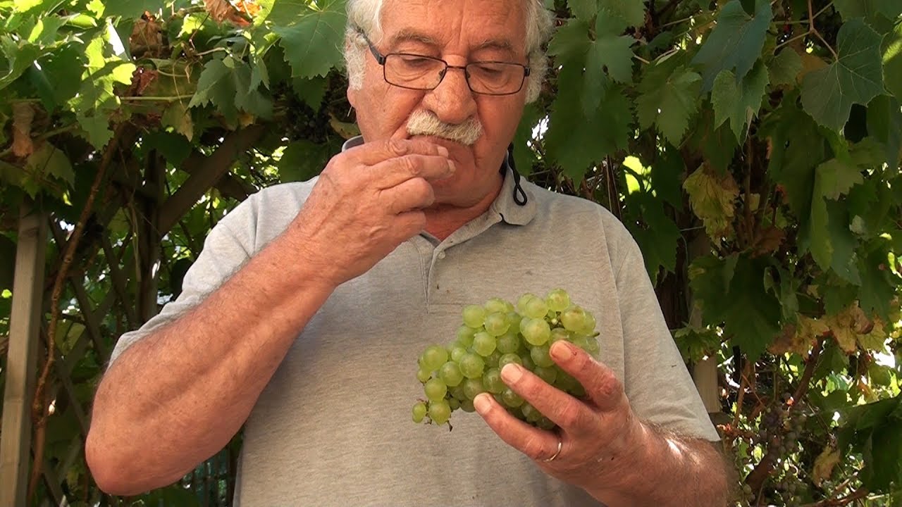 JUS DE RAISIN JARDIN DU BONHEUR