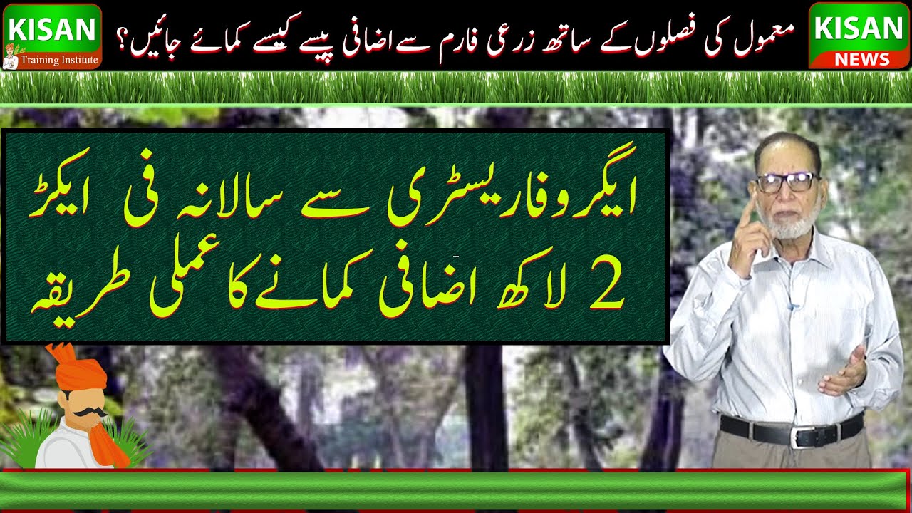 Agro forestry in Pakistan| How farmer can earn extra money| سالانہ فی ایکڑ دو لاکھ کمانے کا طریقہ