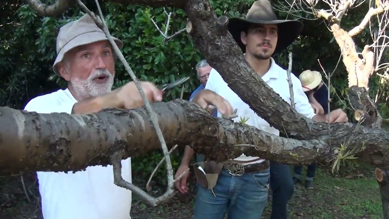 Poda de Pessegueiro Velho quase perdido com Sergio Semerdjian em Francisco Xavier
