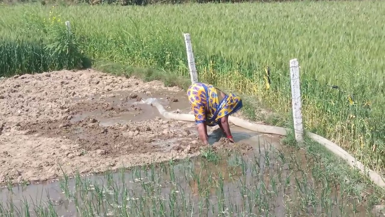 मुगफली की बुआई करने का समय आ गया है#viralvideo #