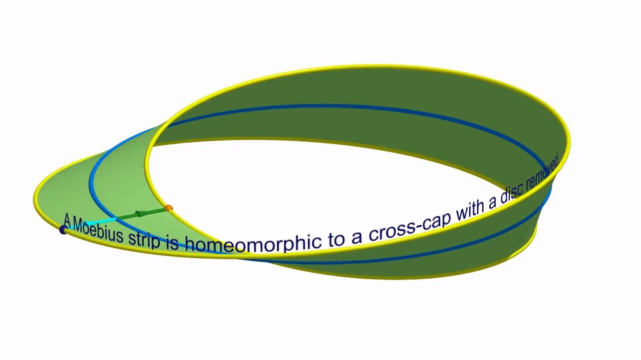 Moebius strip and Cross-cap