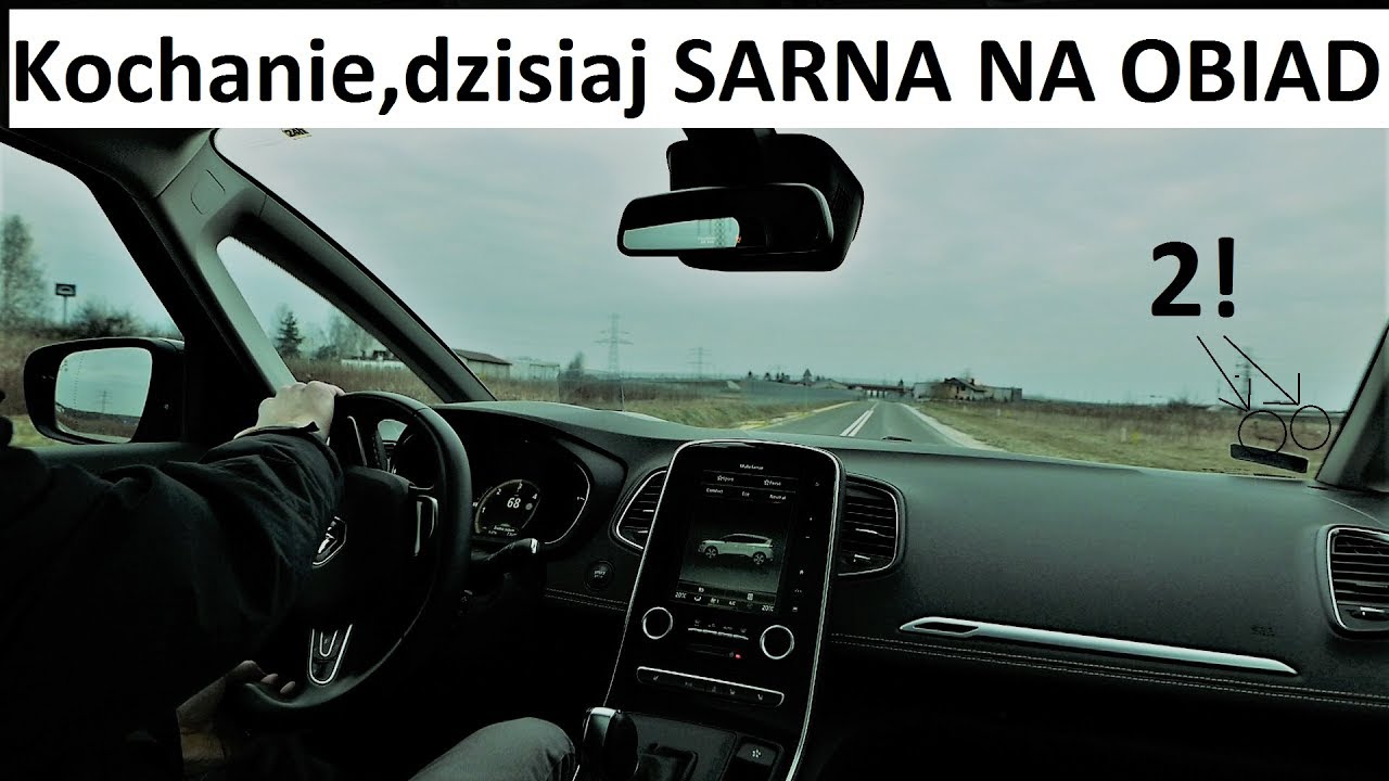 O MAŁY WŁOS PIECZEŃ Z SARNY! 2017 Renault Grand Scenic Test PL