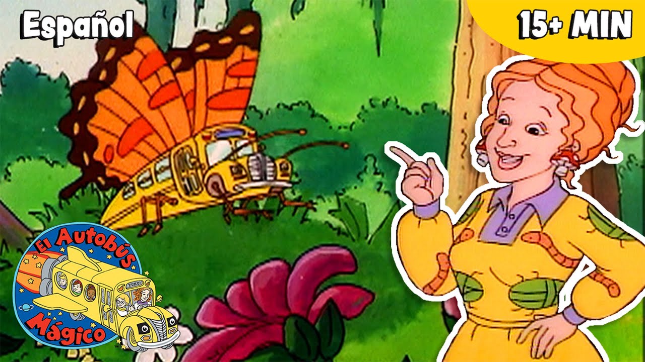 Hermosos insectos | Ciencia para niños | El Autobús Mágico