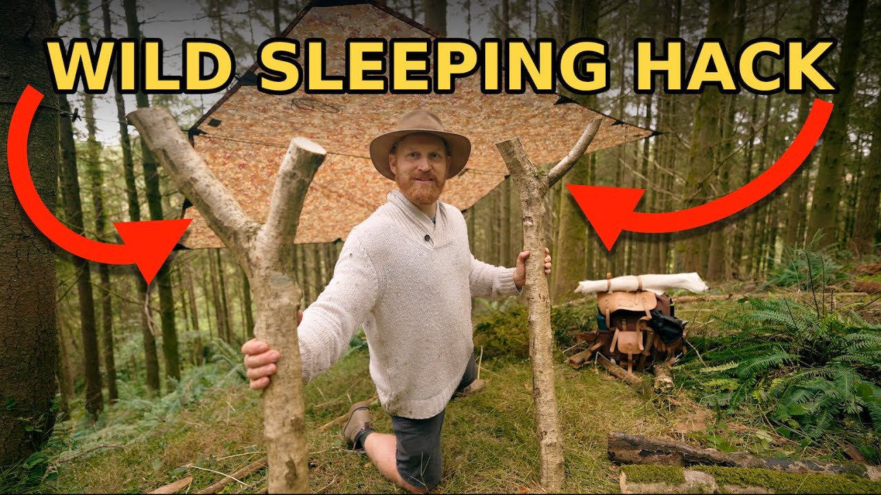 The Forest Sleep Hack I Wish I Knew Earlier