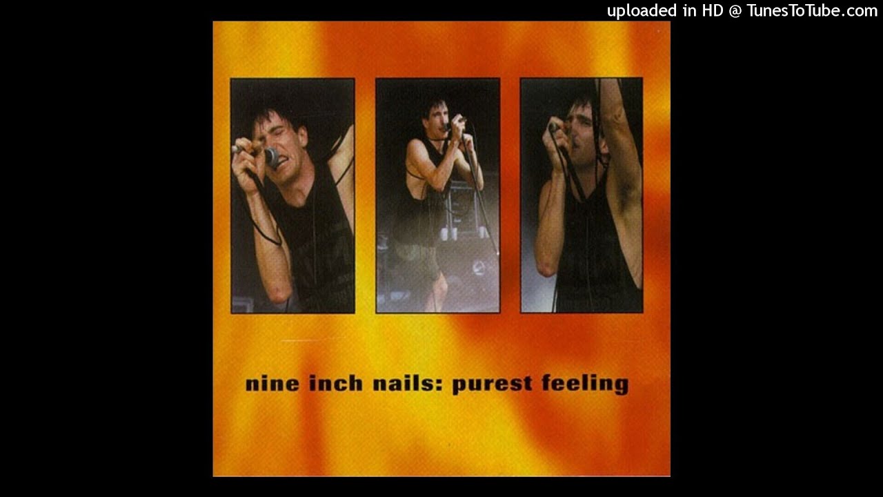 03. Maybe Just Once - Nine Inch Nails - Purest Feeling
