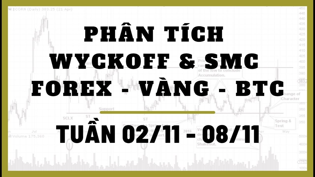 ✅Ph&acirc;n T&iacute;ch FOREX - V&Agrave;NG - BITCOIN Tuần 02/11-08/11 Theo Phương Ph&aacute;p WYCKOFF & SMC | TraderViet