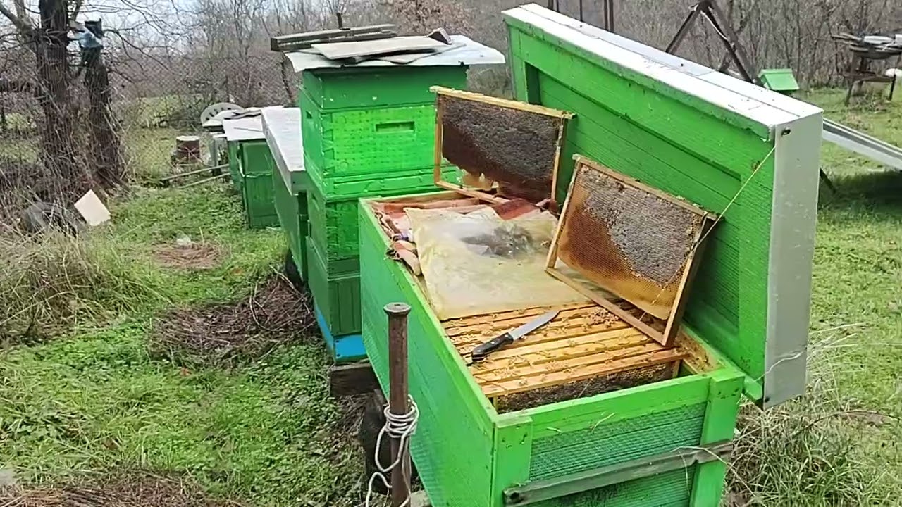 ПРОЛЕТНО ПОДХРАНВАНЕ..КАК БИХ ПОДХРАНВАЛ АЗ.