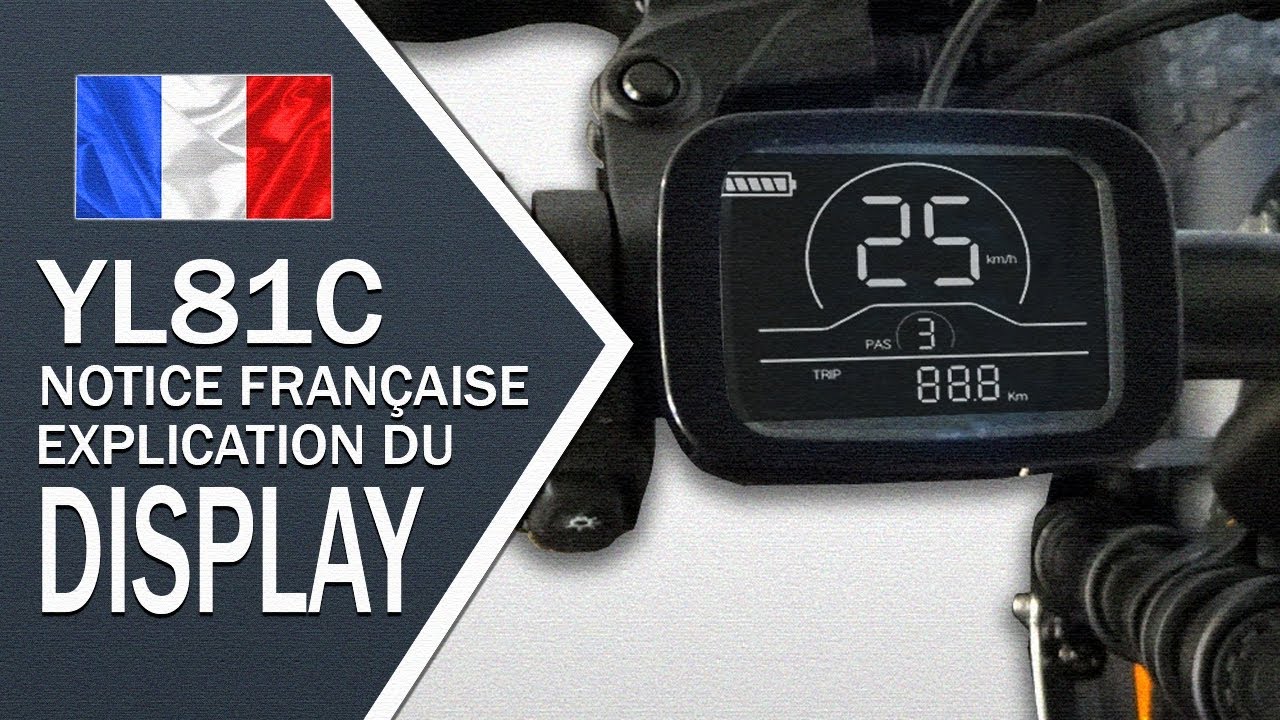 Display YL81C