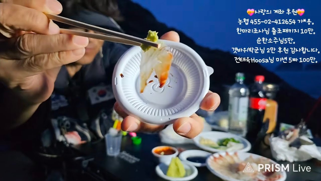 감성돔 야영 낚시 라이브 방송 스타트! #감성돔 #당두호 #개도 #fish #fishing #fishingvideo