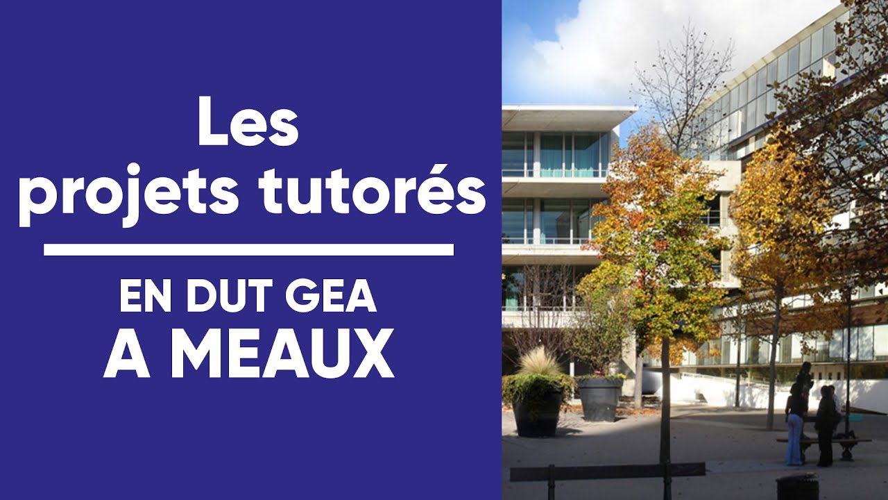 LES PROJETS TUTORES DU DUT GEA site de MEAUX !
