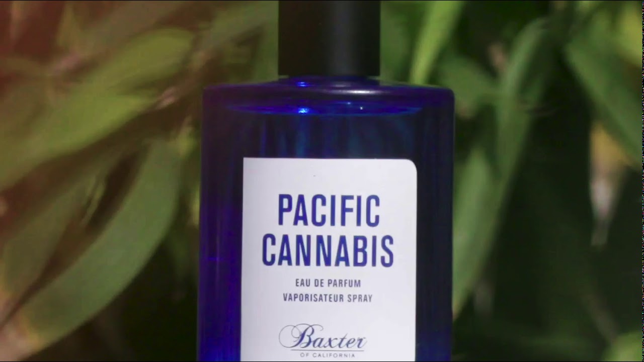 Pacific Cannabis - Baxter of California