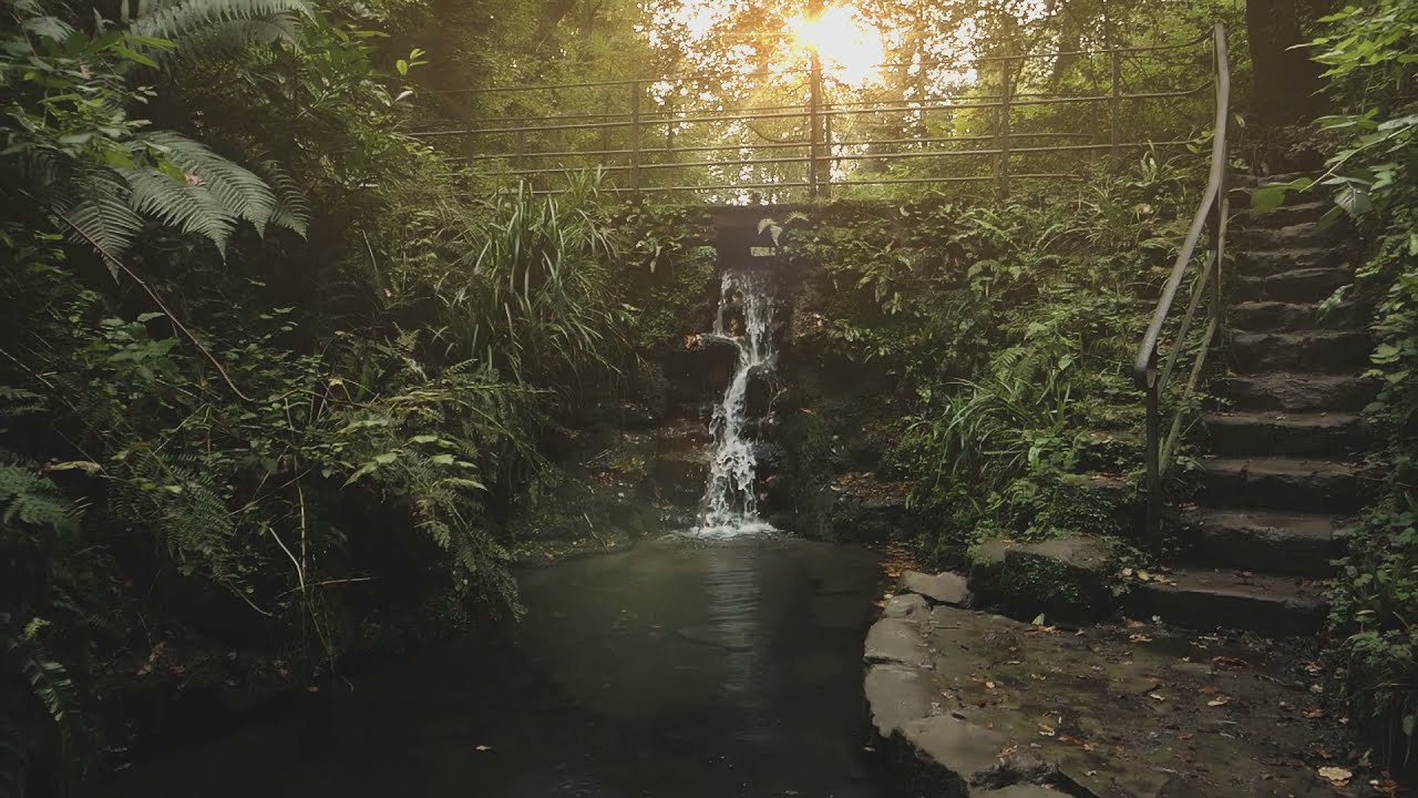 Yeovil Country Park, South Somerset