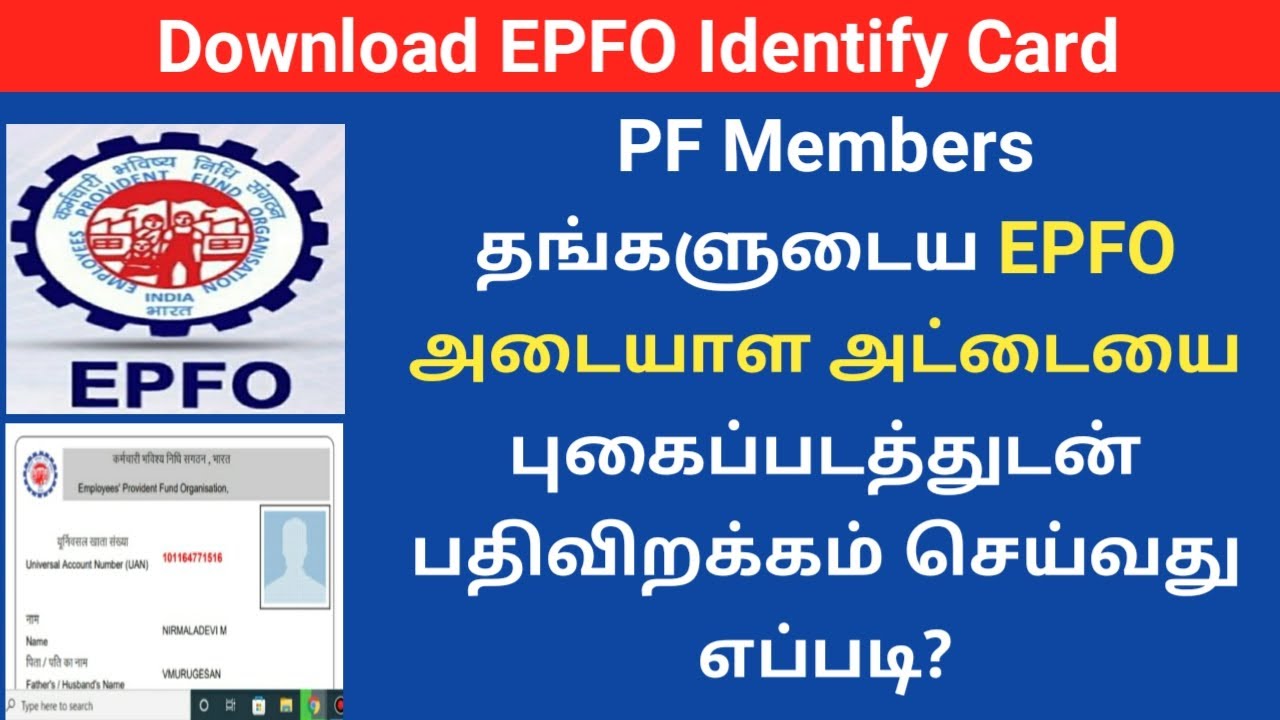 EPFO Identity card Download with photo | PF ID card | Gen Infopedia