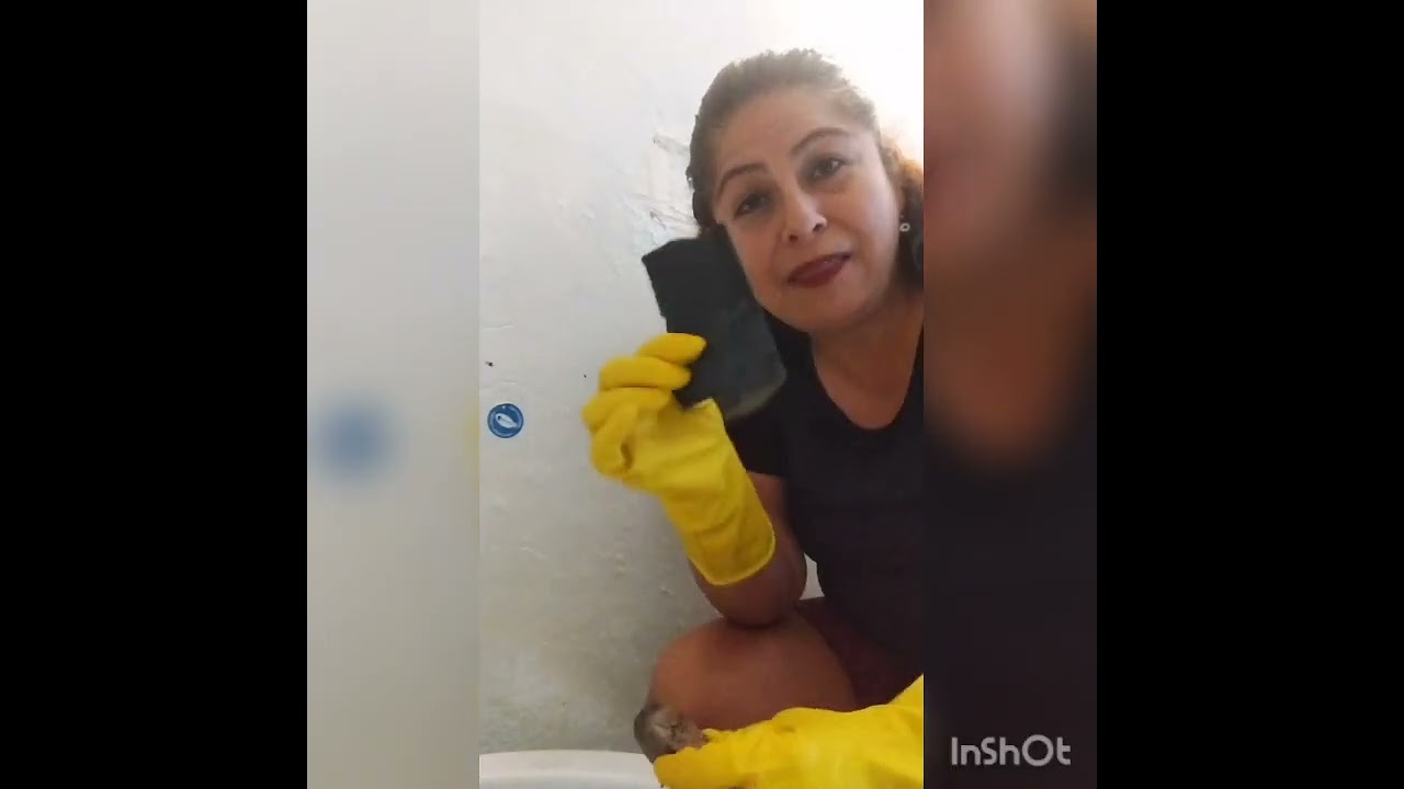 limpieza con ácido citrico