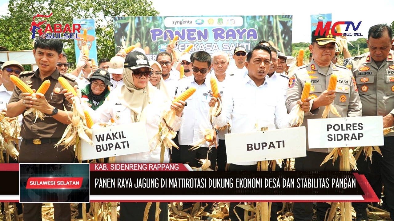 PANEN RAYA JAGUNG DI MATTIROTASI DUKUNG EKONOMI DESA DAN STABILITAS PANGAN