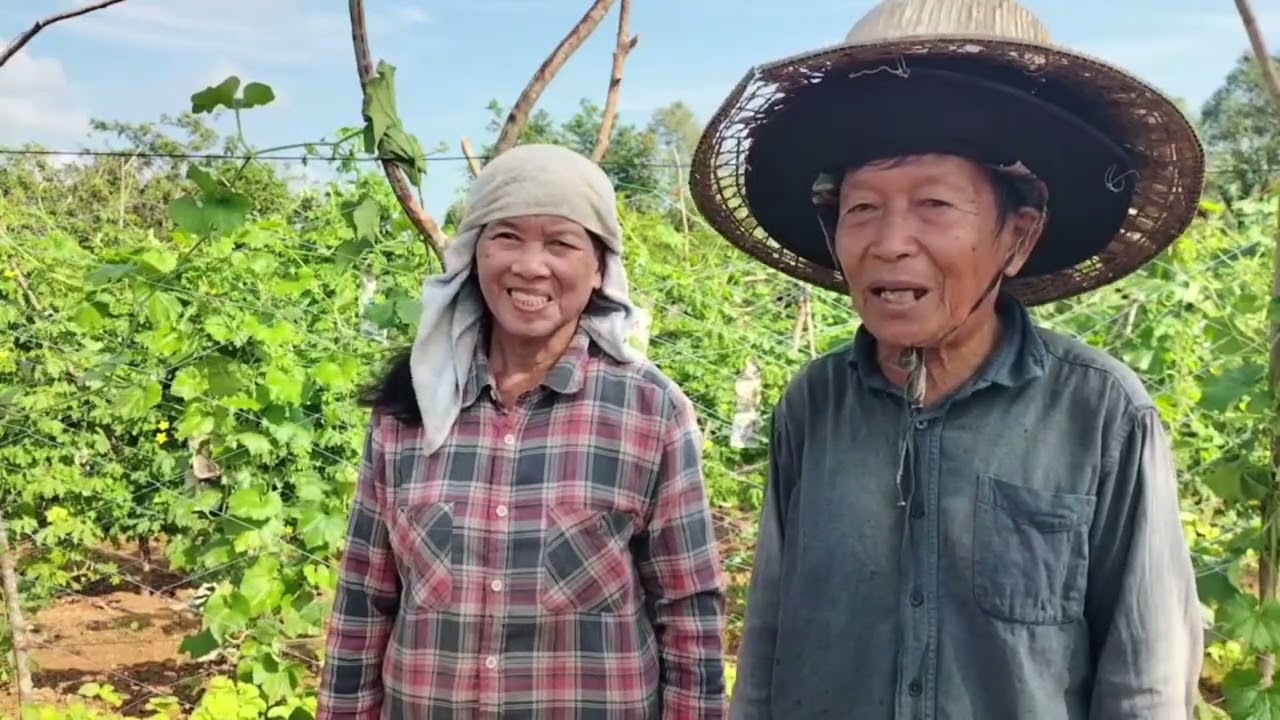 นายสันติภาพ รามสูต / 18-1-69 เกษตรกรสงขลาไม่หวั่นน้ำท่วม หลังน้ำลดเริ่มทยอยปลูกผักสร้างรายได้