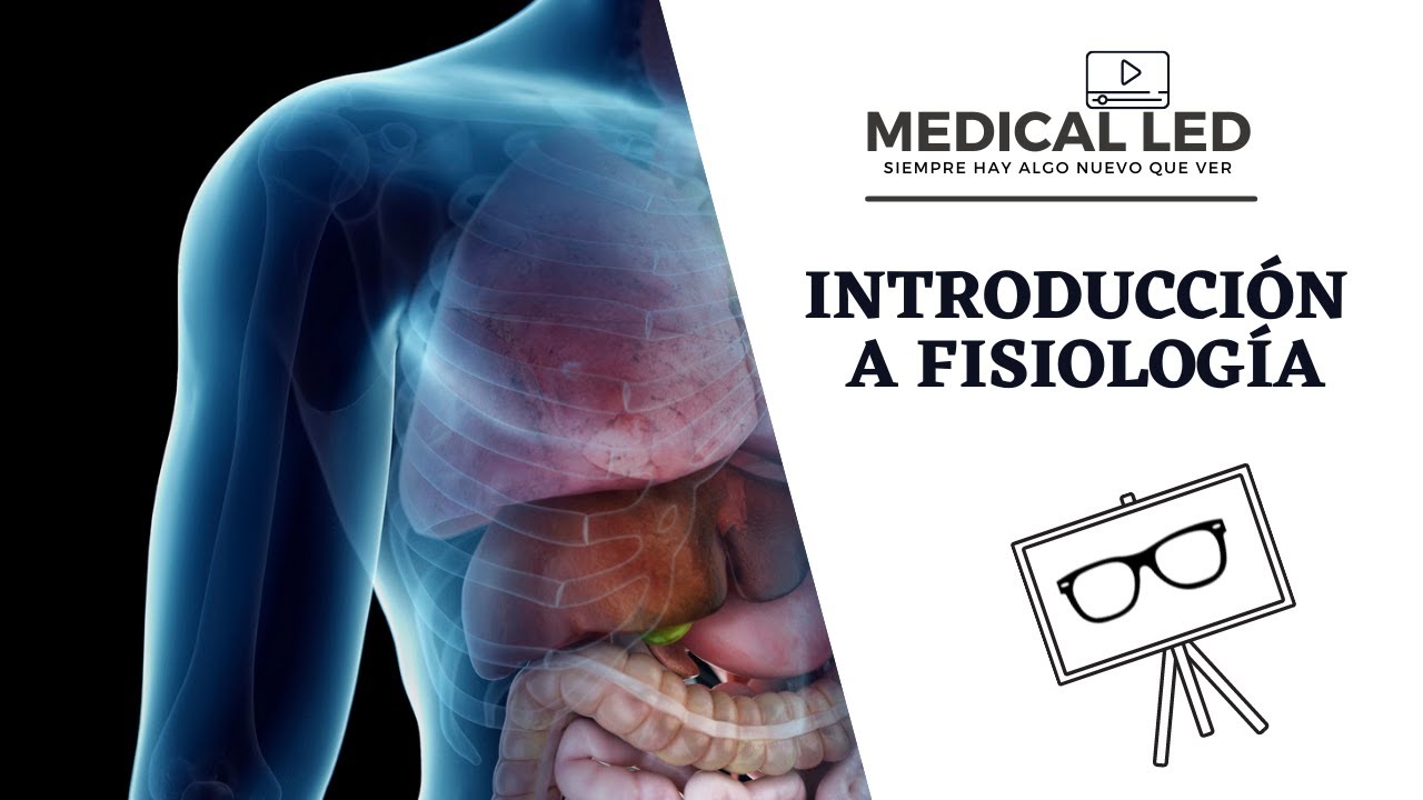 INTRODUCCIÓN A FISIOLOGÍA: Conceptos clave, homeostasis y líquidos