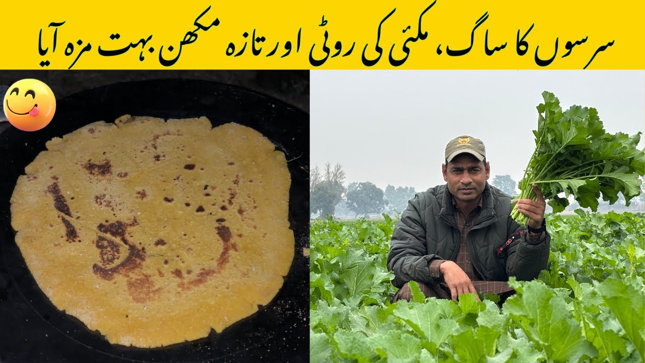 Cooking SARSON ka SAAG and MAKKI ki Roti on Mud Chulha | Desi Makkhan Malai | Village life Punjab