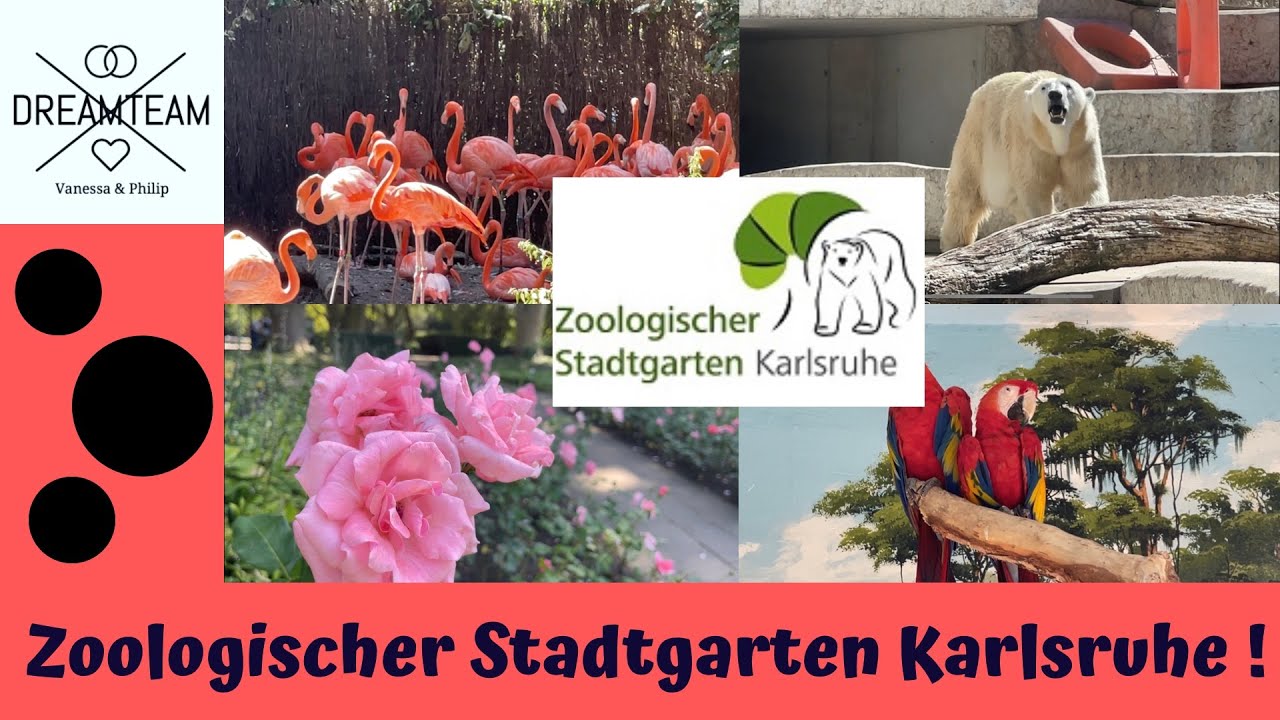 DOKU -  Zoologischer Stadtgaren Karlsruhe 2022 -  Zoo Karlsruhe - Essen - Preise - Öffnungszeiten