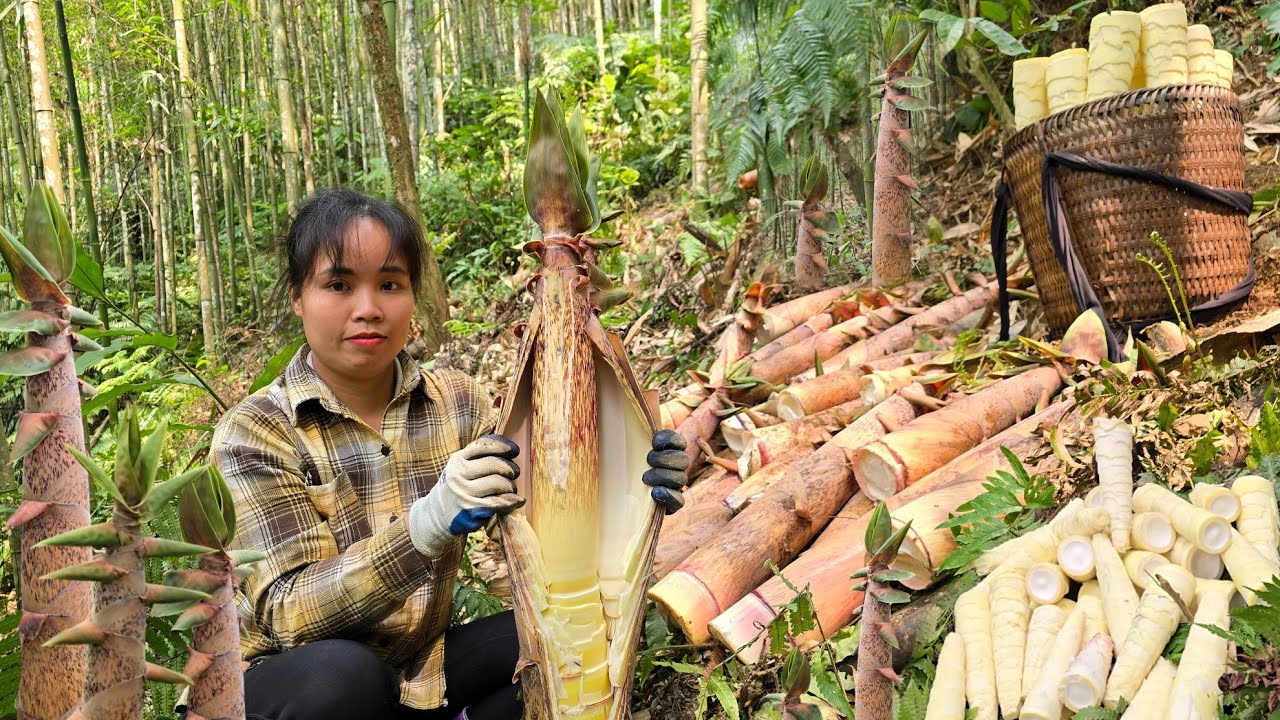 The Life of an Unfortunate Woman Living Alone Deep in the Forest for 3 Years