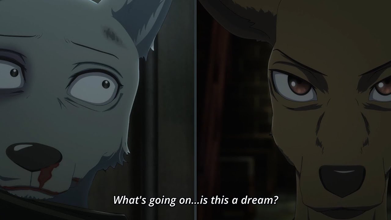 Legoshi & Louis Reunited. Beastars Season 2 Episode 9 Review
